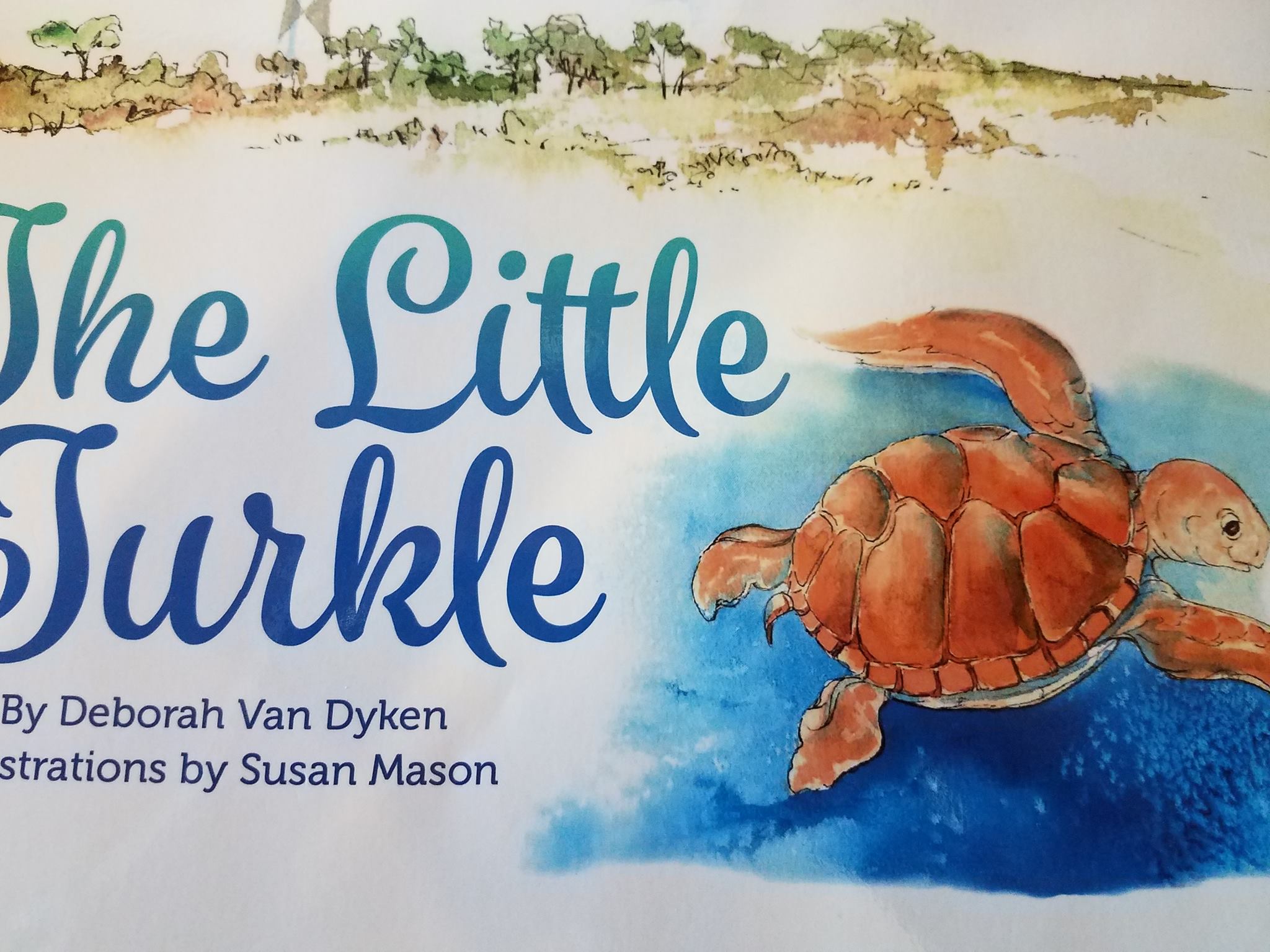 A Book About Sea Turtles (First Grade Book) - Wilbooks
