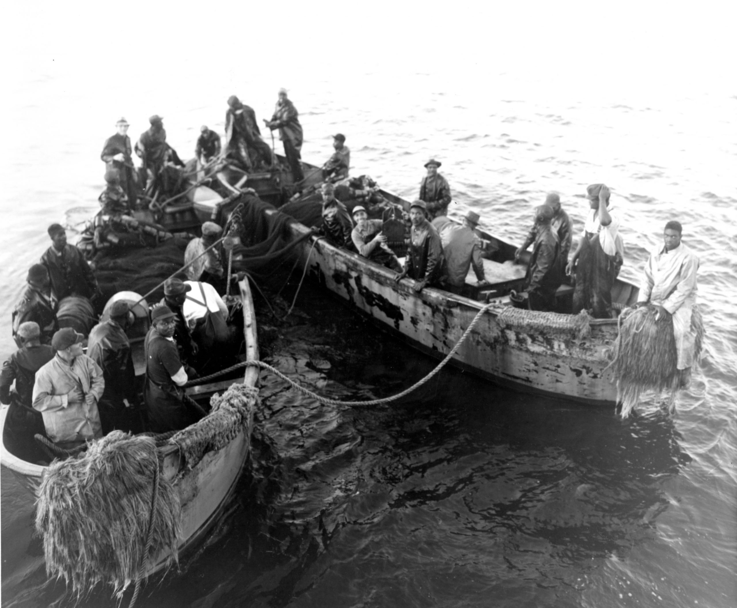 Fishermen in two boats pulling up menhaden fishing nets