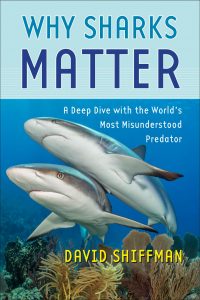 cover of book Why Sharks Matter includes image of two sharks swimming