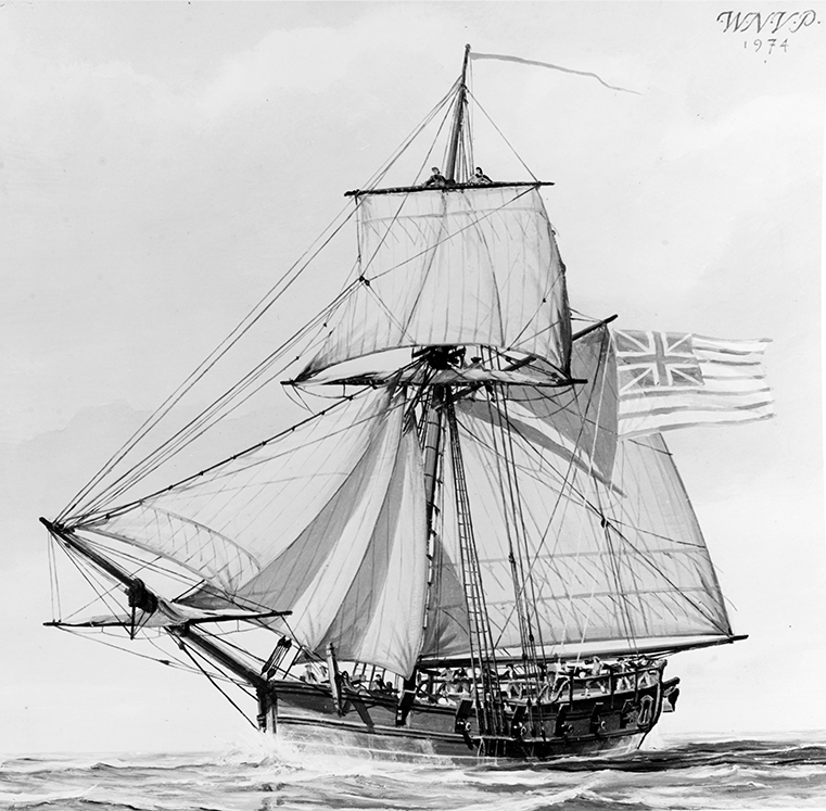 illustration of an 19th century schooner at sea