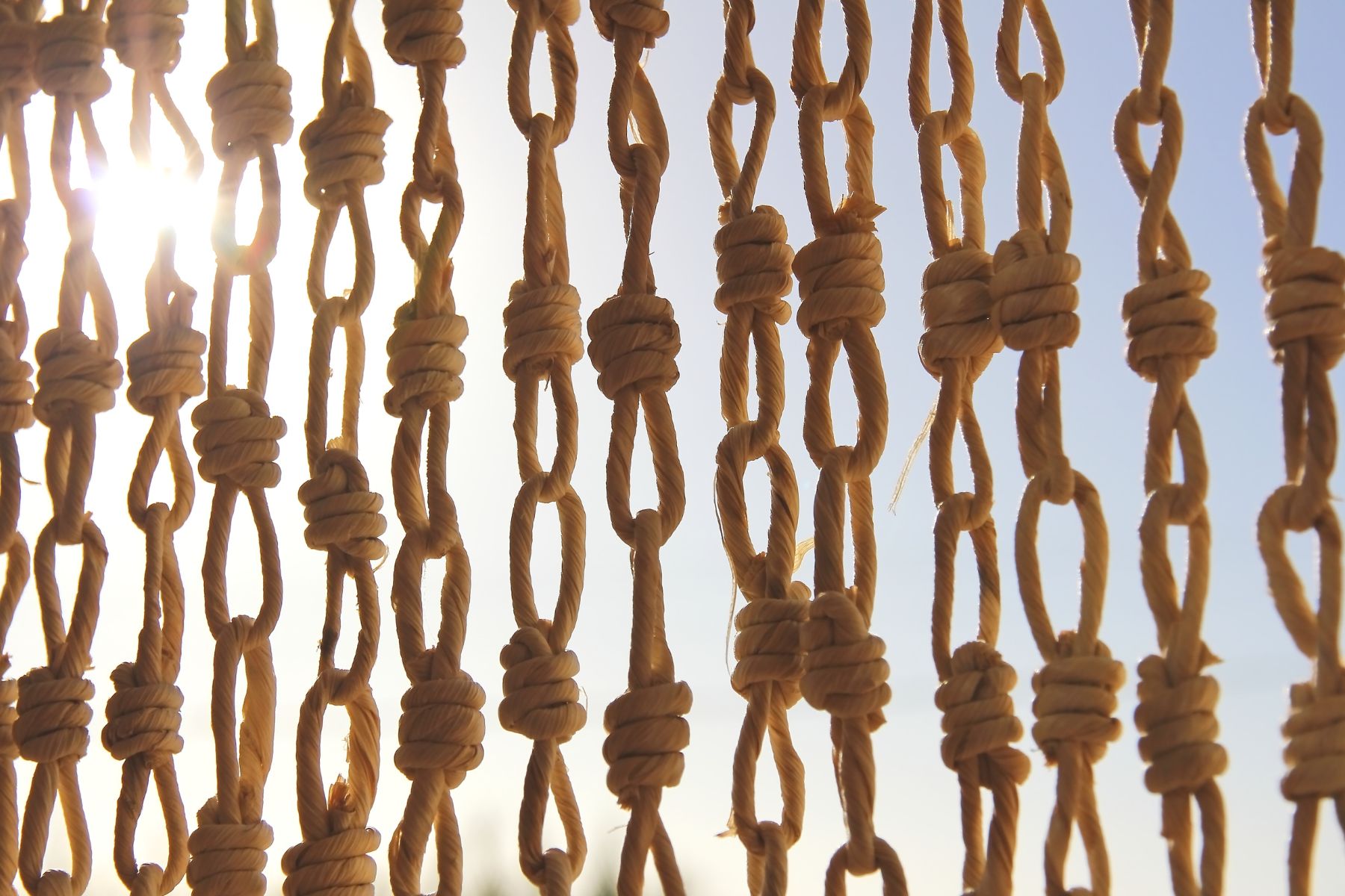 sections of ropes knotted and looped together